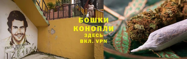 сатива Гусь-Хрустальный