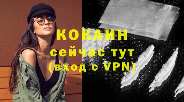 винт Вяземский